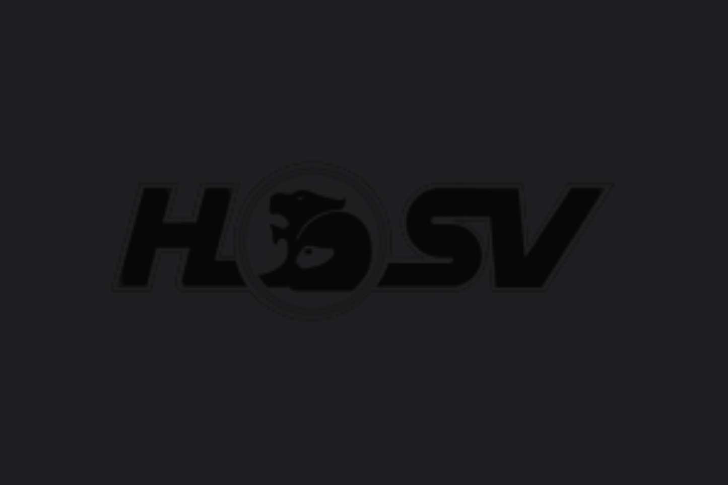 HSV BANNER