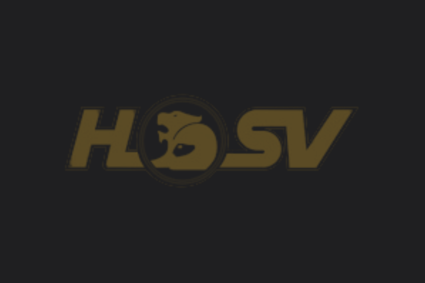 HSV BANNER