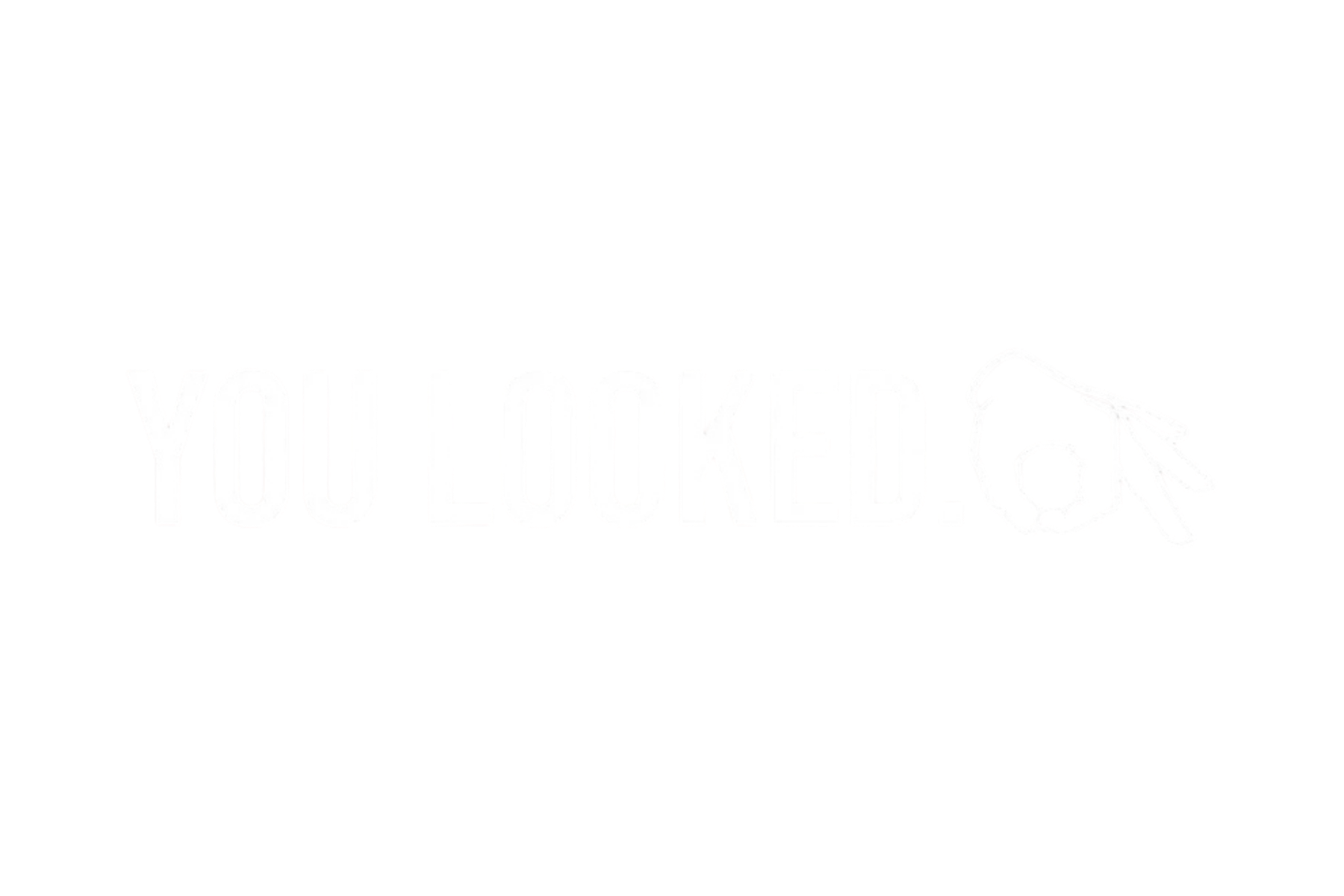 CAR WINDOW BANNER: YOU LOOKED