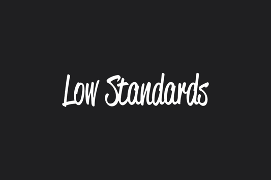 STICKER: LOW STANDARDS