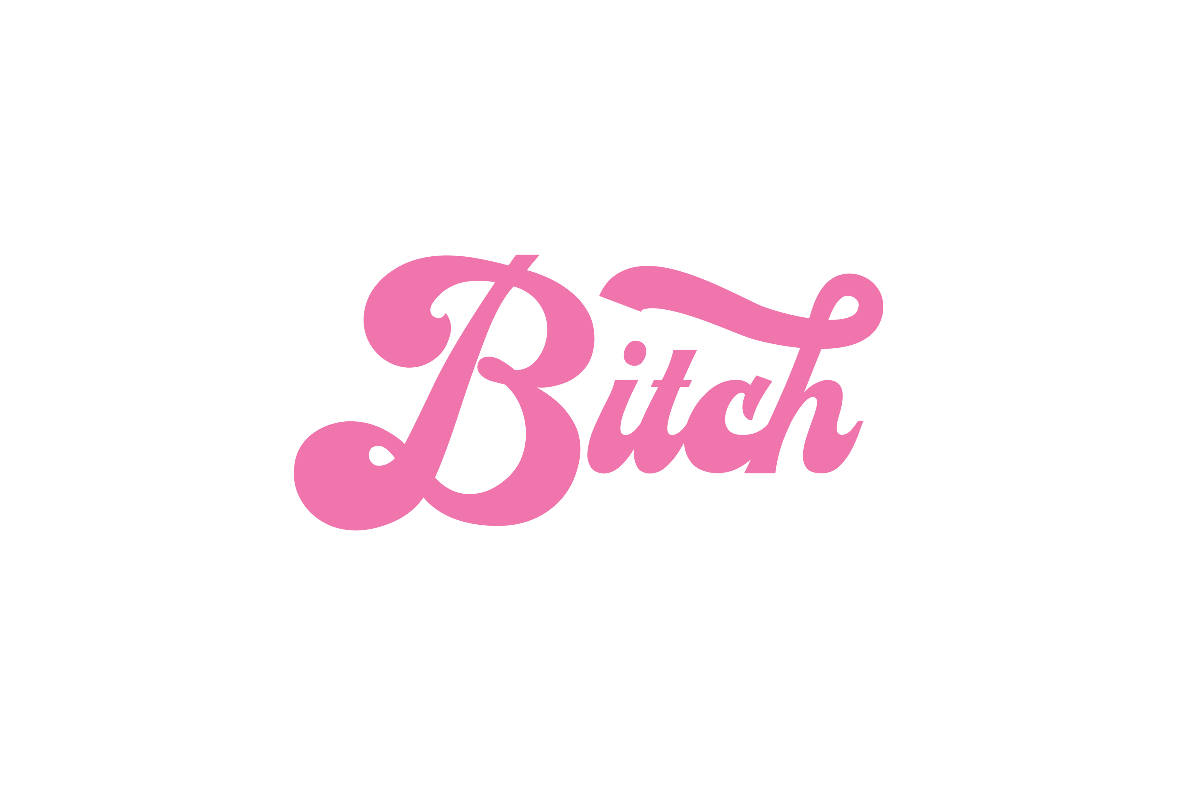 STICKER: B*TCH