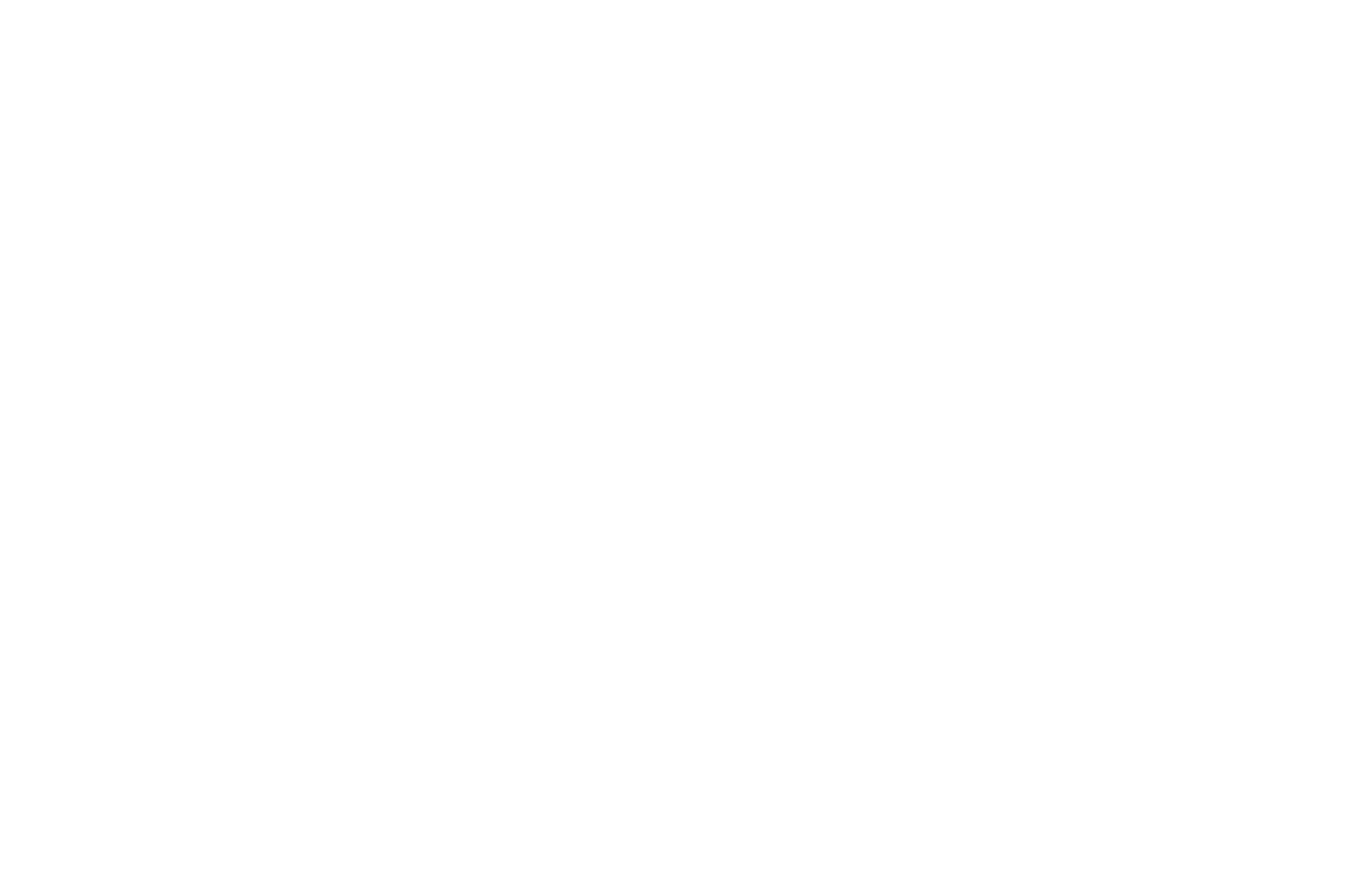 DECAL: POWERED BY (BOLD)