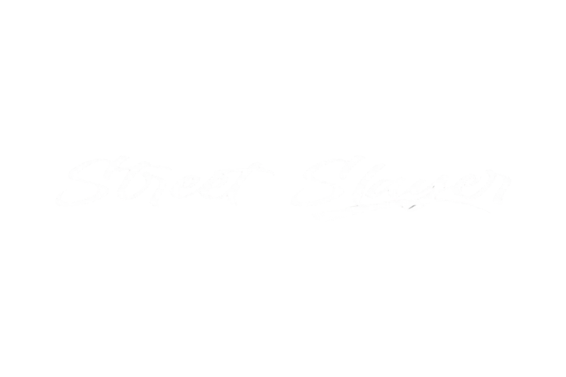CAR WINDOW BANNER: STREET SLAYER