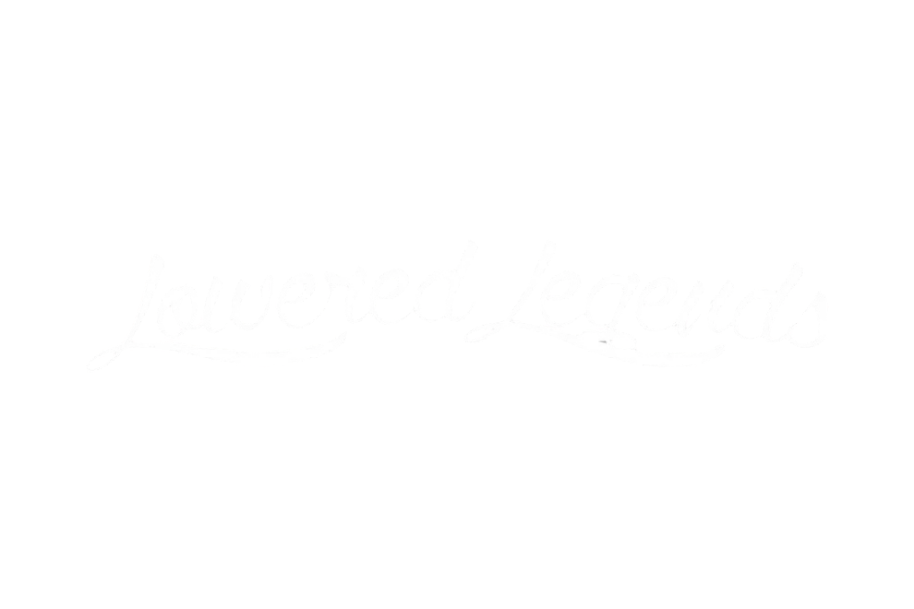 CAR WINDOW BANNER: LOWERED LEGENDS