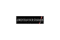 SLAP STICKER: LOWER THAN YOUR