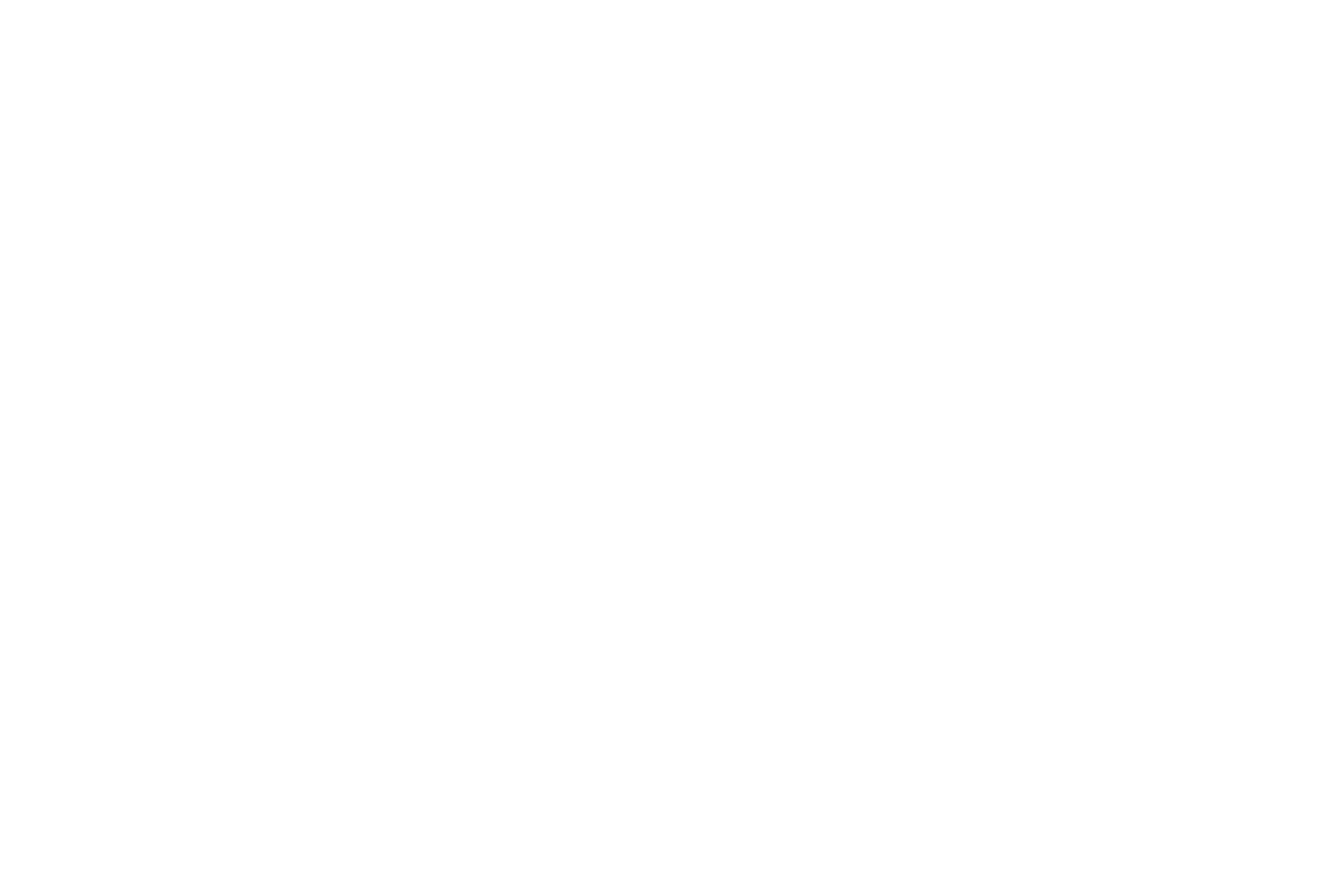 DECAL: LIMITED EDITION
