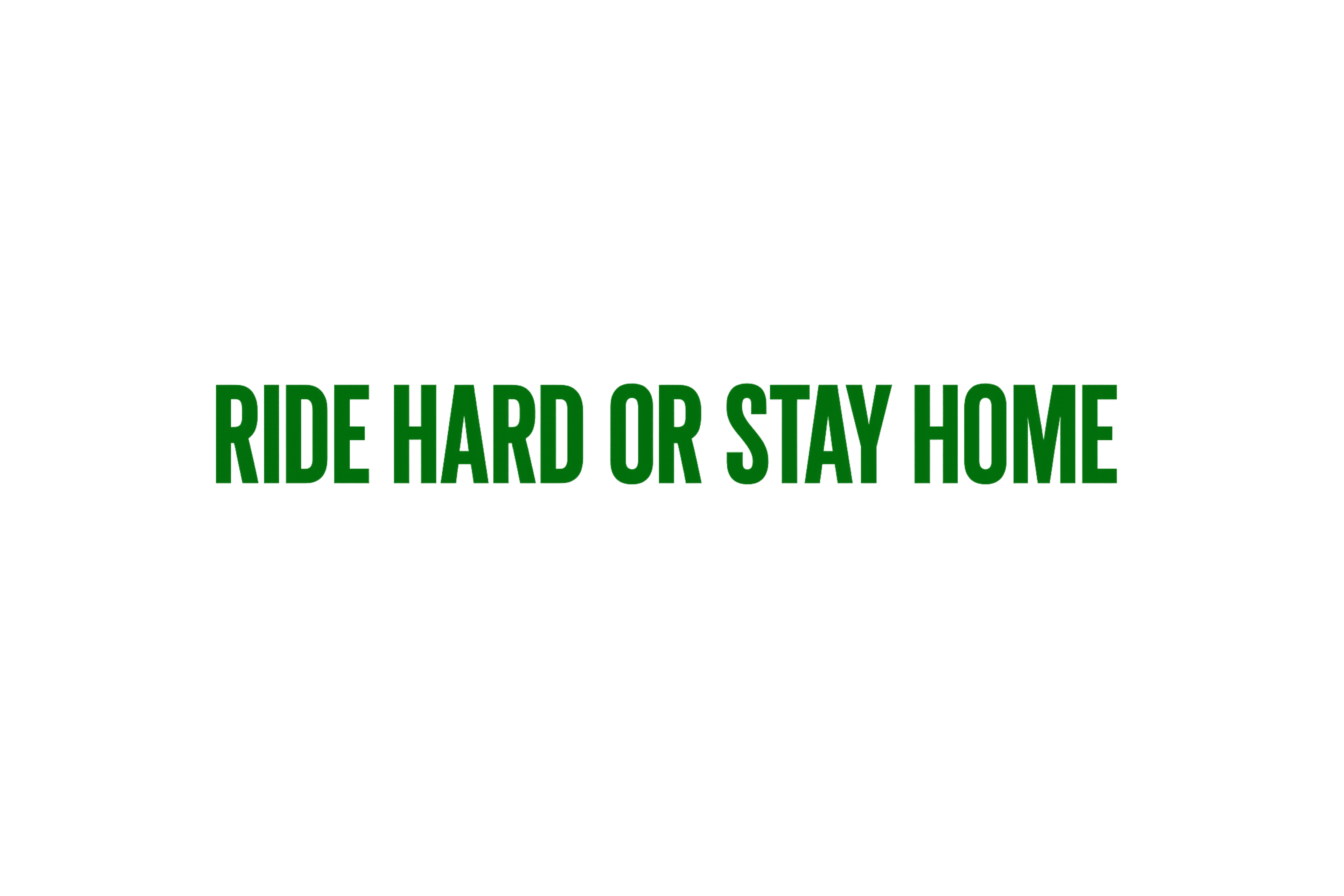 STICKER: RIDE HARD OR STAY HOME