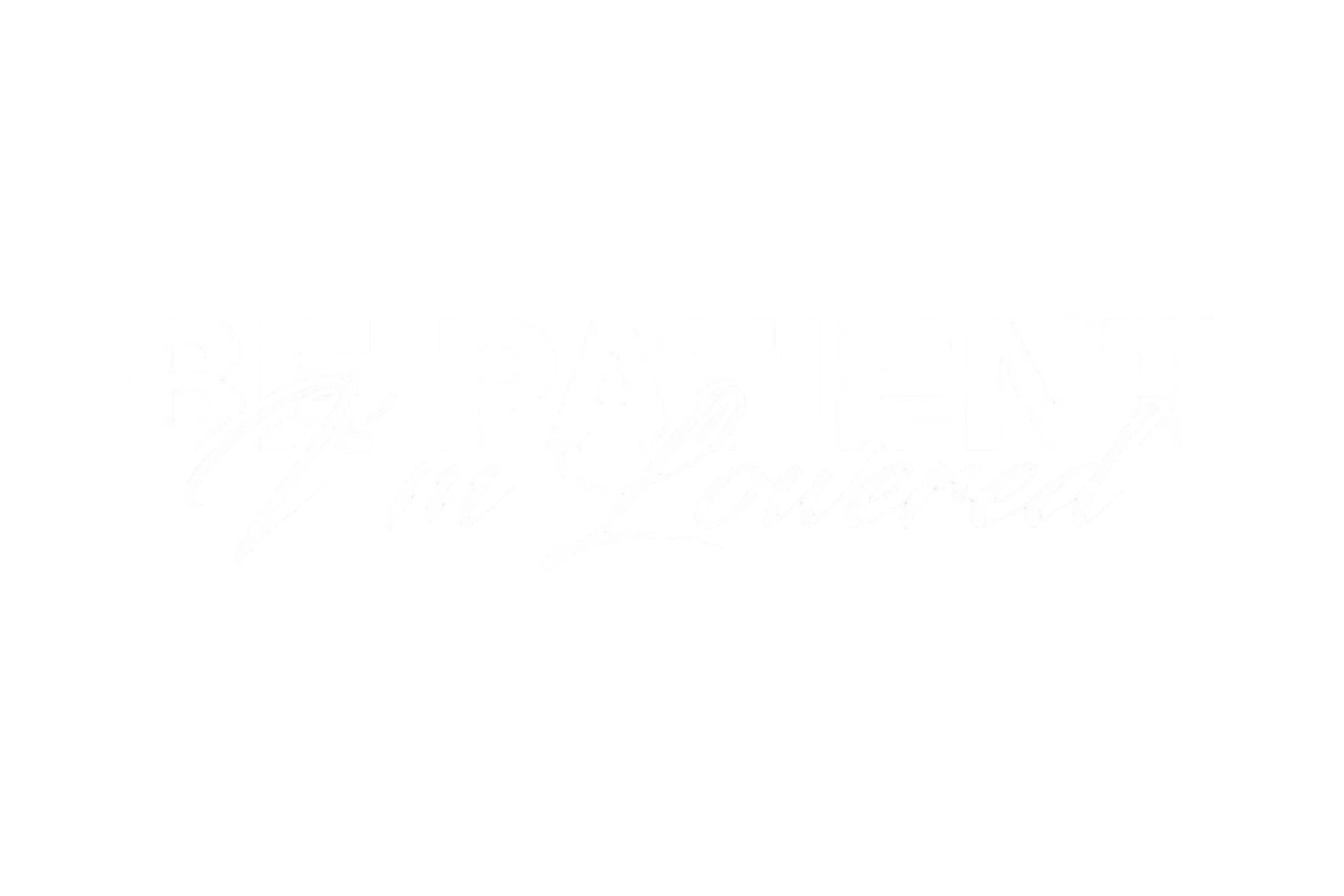 CAR WINDOW BANNER: BE PATIENT I'M LOWERED
