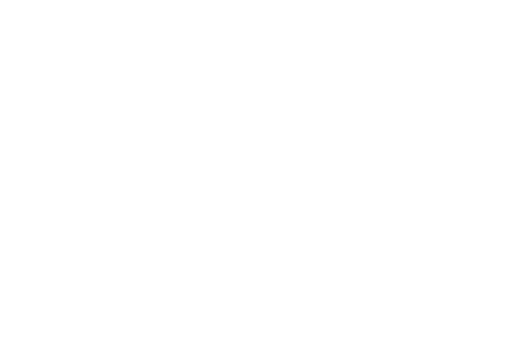 STICKER: SALTY AF