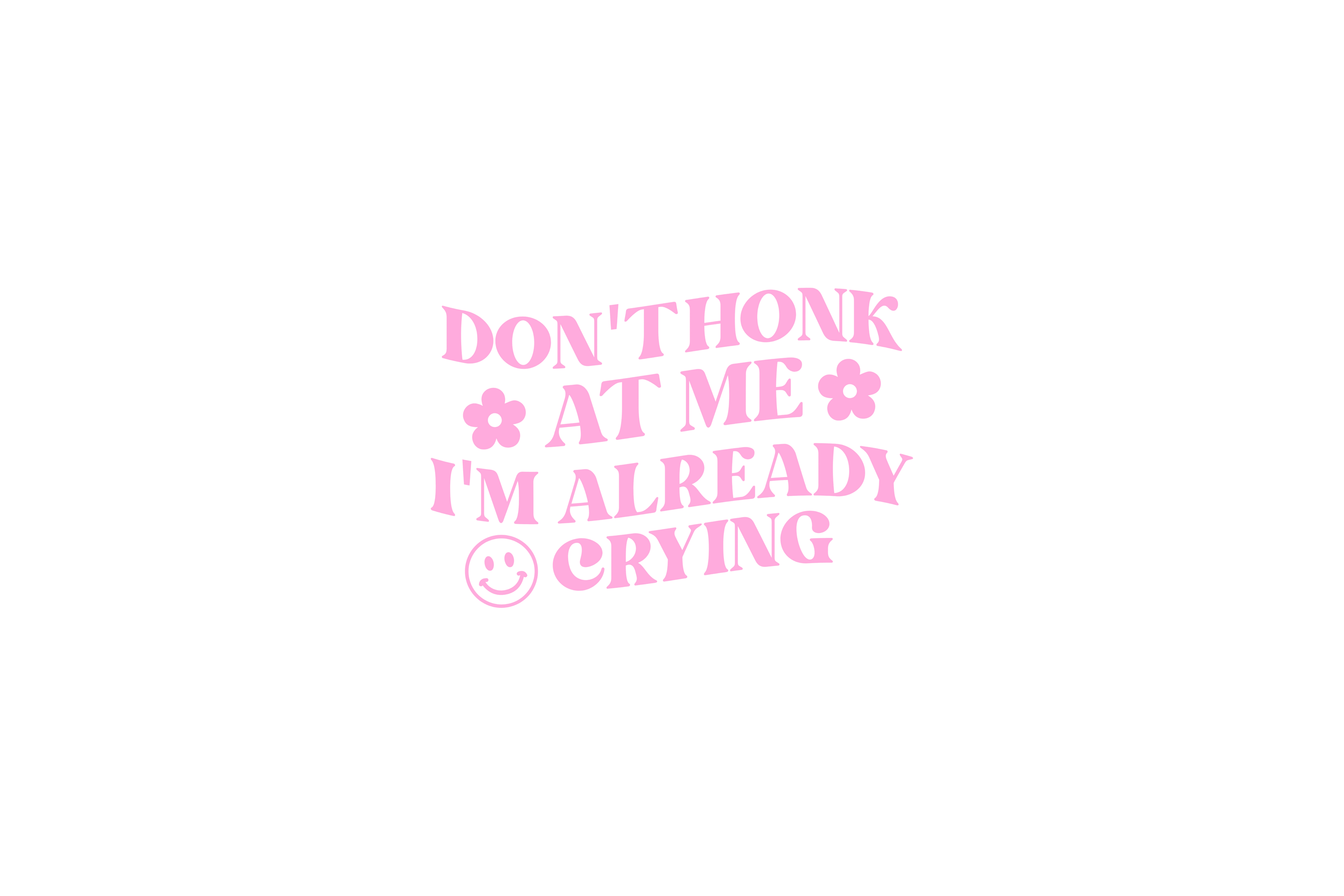 STICKER: DON'T HONK AT ME I'M ALREADY CRYING