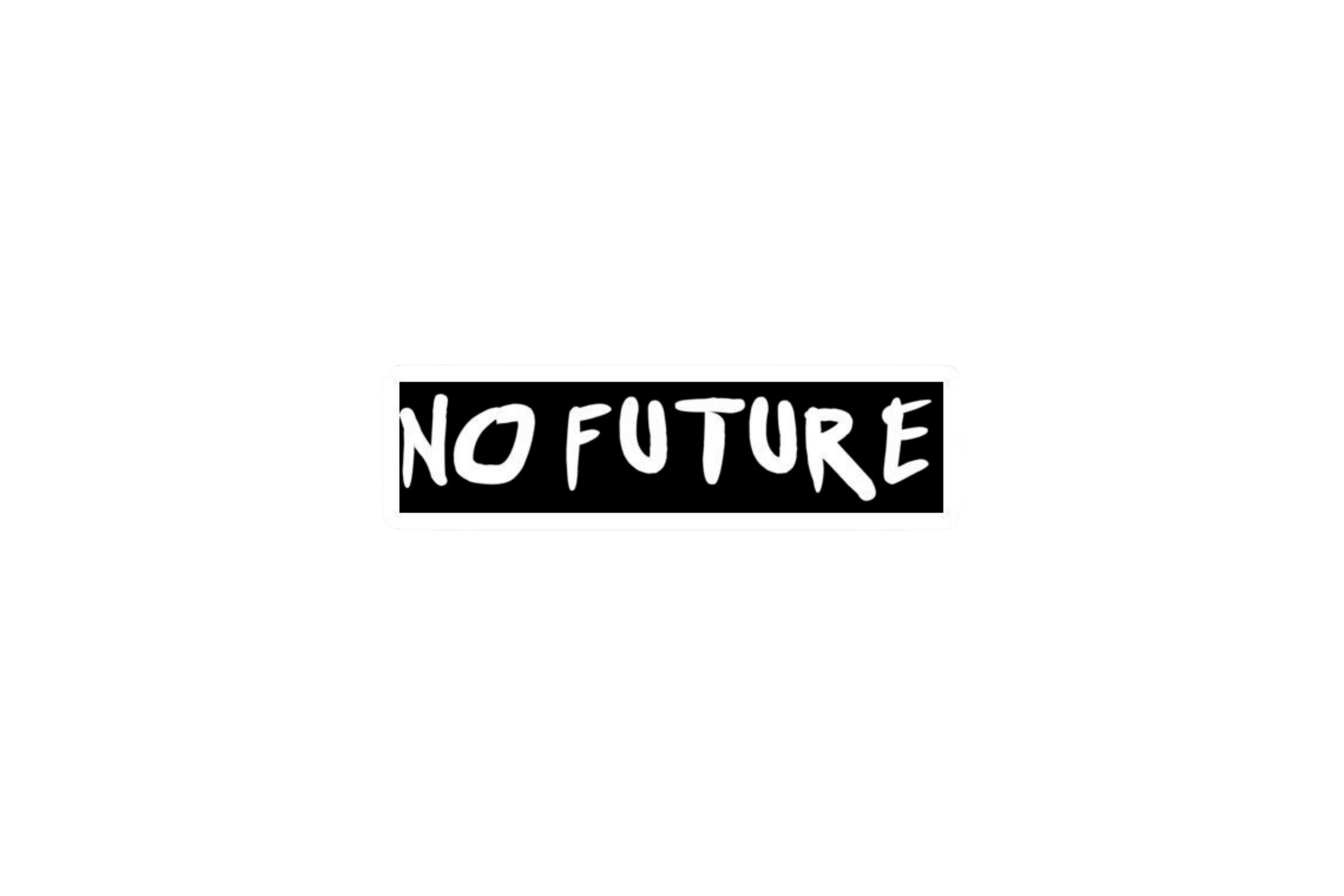 STICKER: NO FUTURE