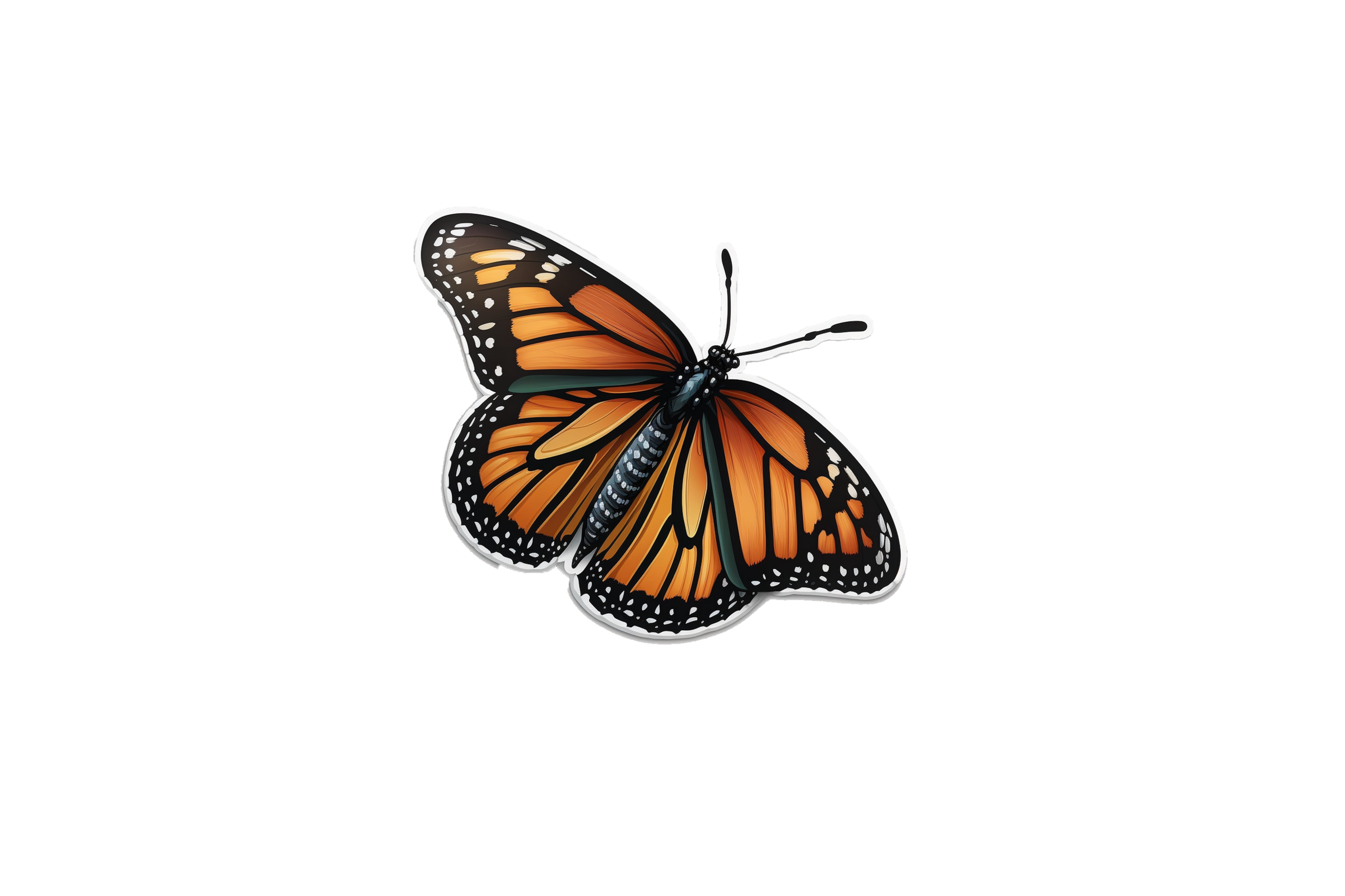 STICKER: BUTTERFLY - OzDecalz
