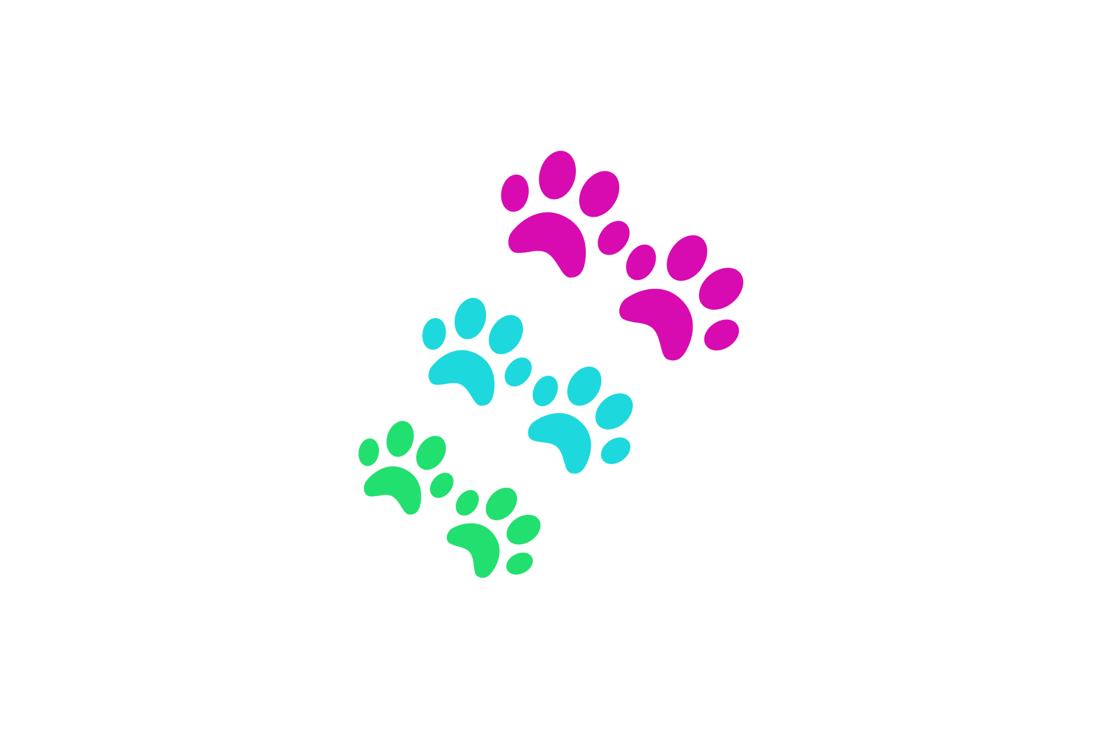 STICKER: PAWS - OzDecalz