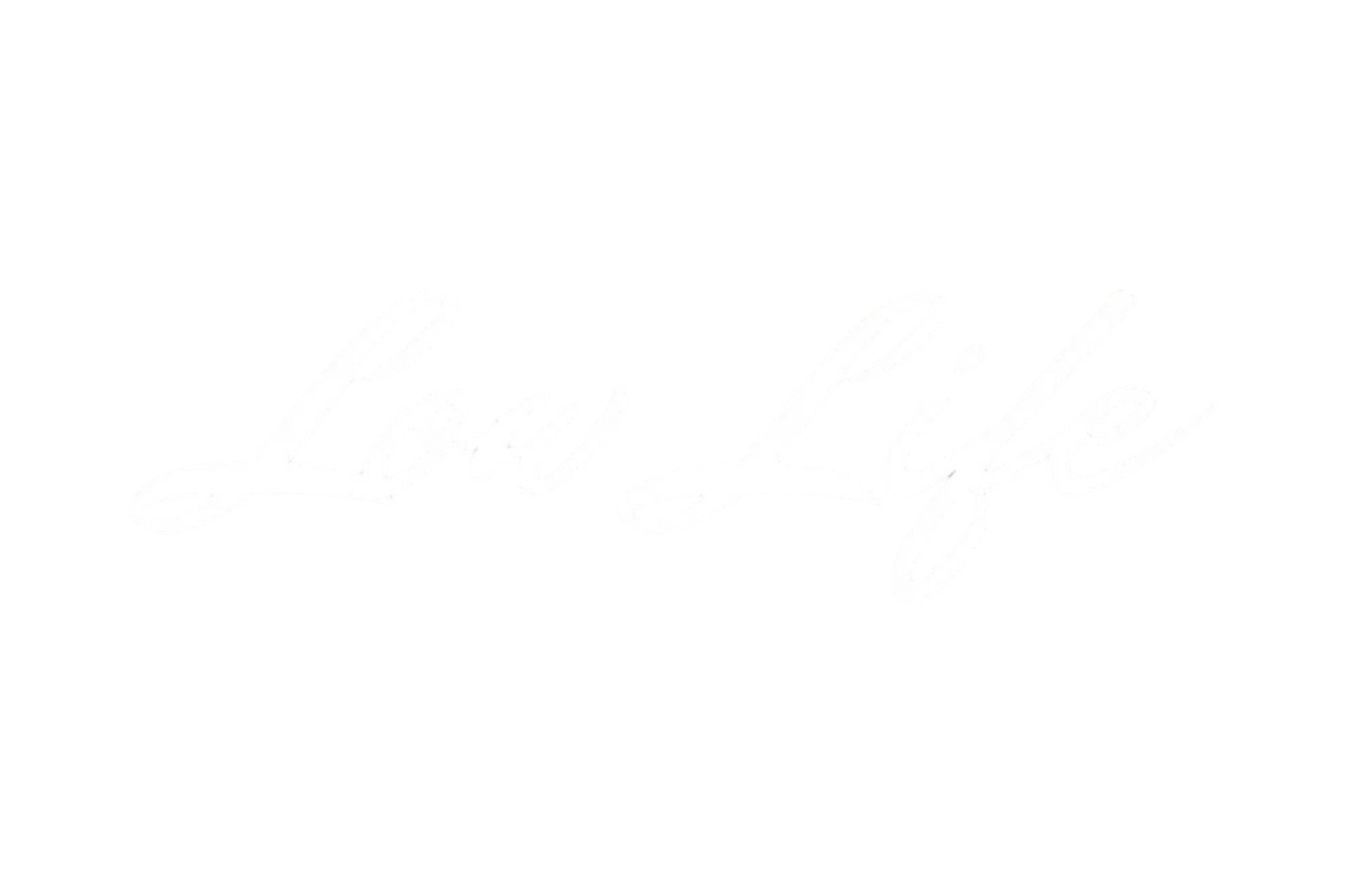CAR WINDOW BANNER: LOW LIFE