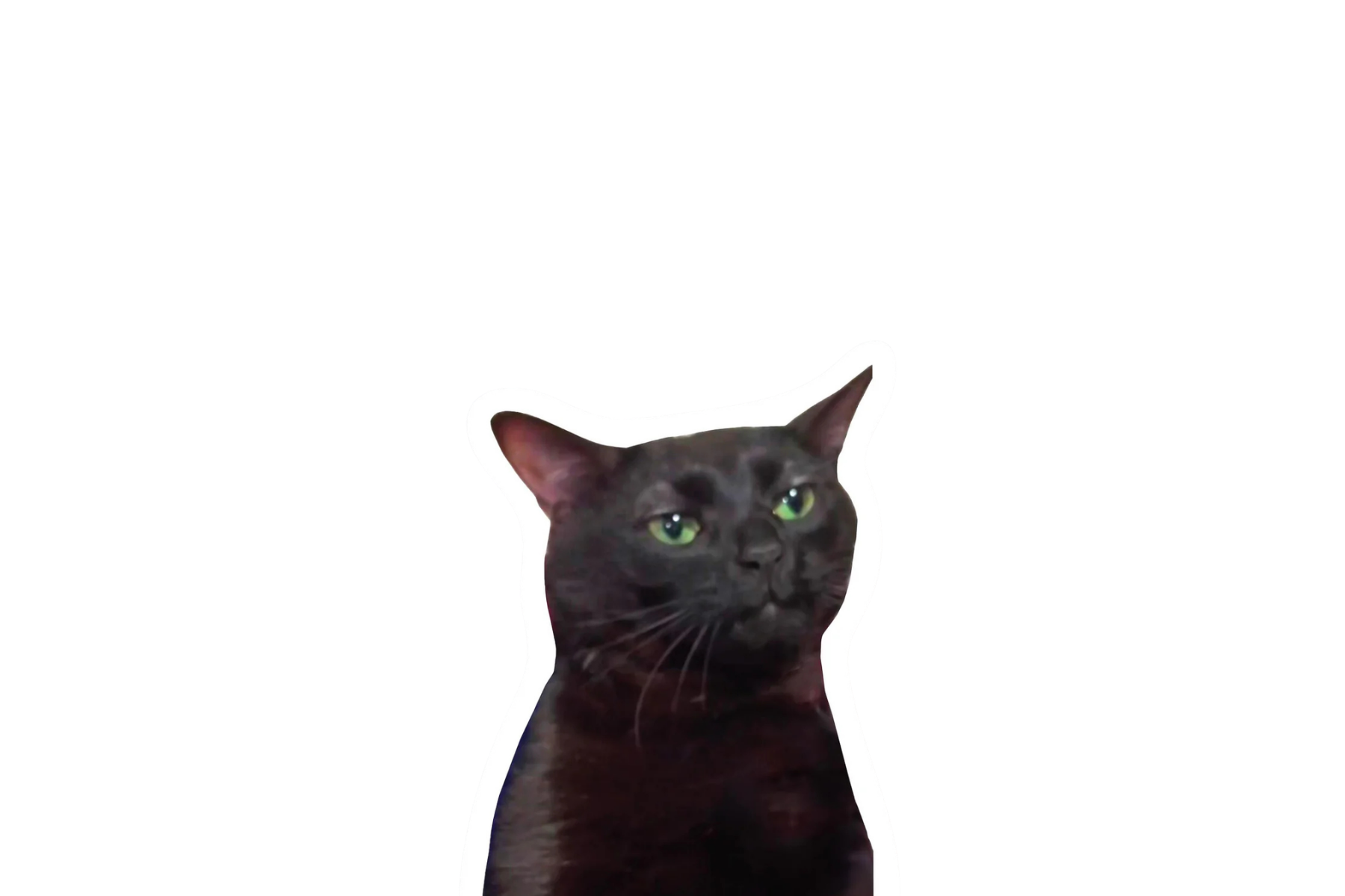 STICKER: ZONED OUT CAT