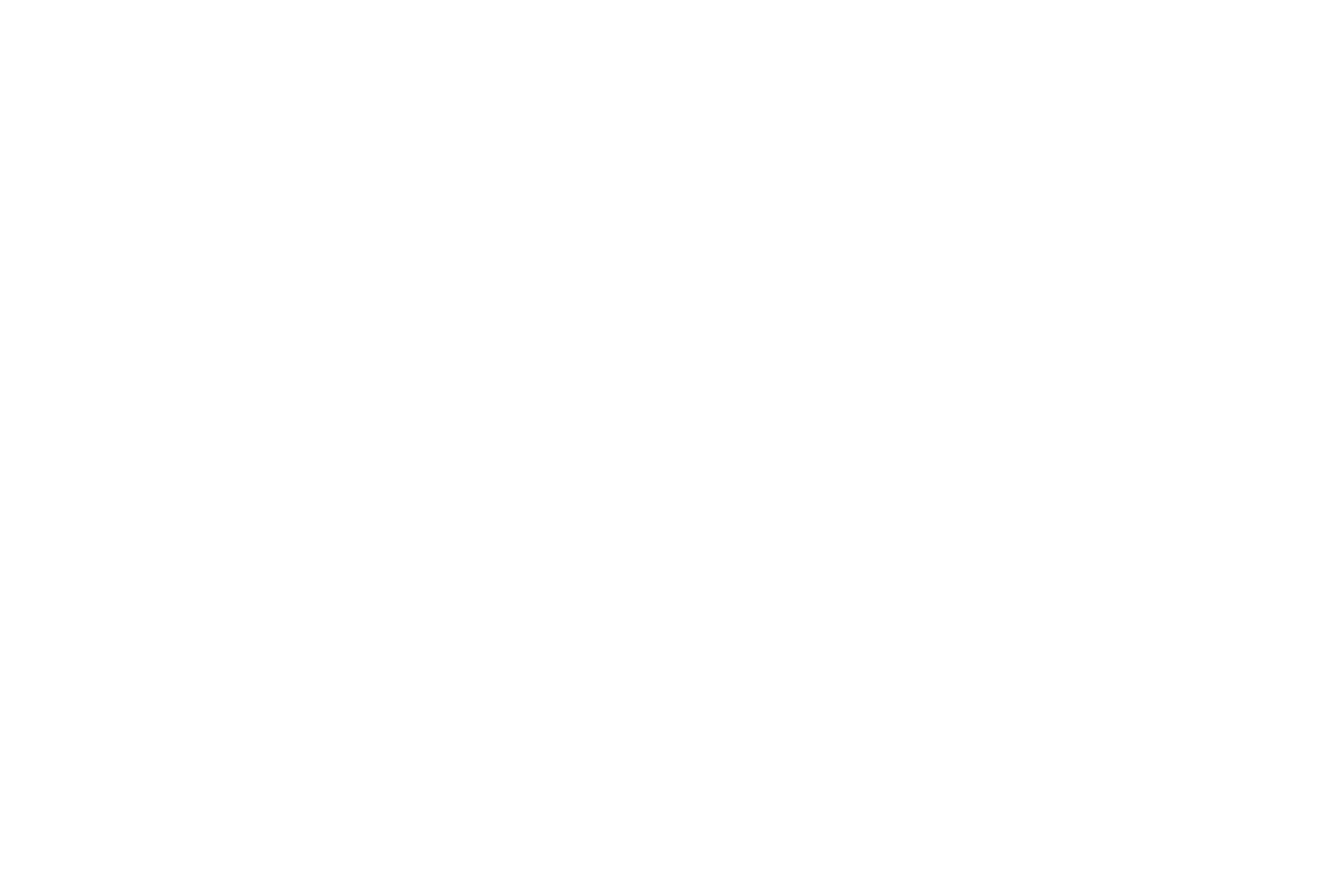 DECAL: NEVER FORGET.