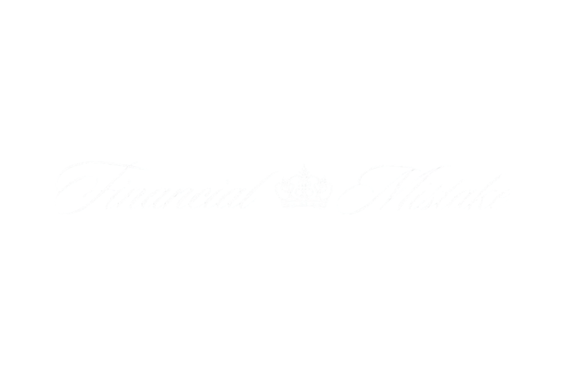 CAR WINDOW BANNER: FINANCIAL MISTAKE