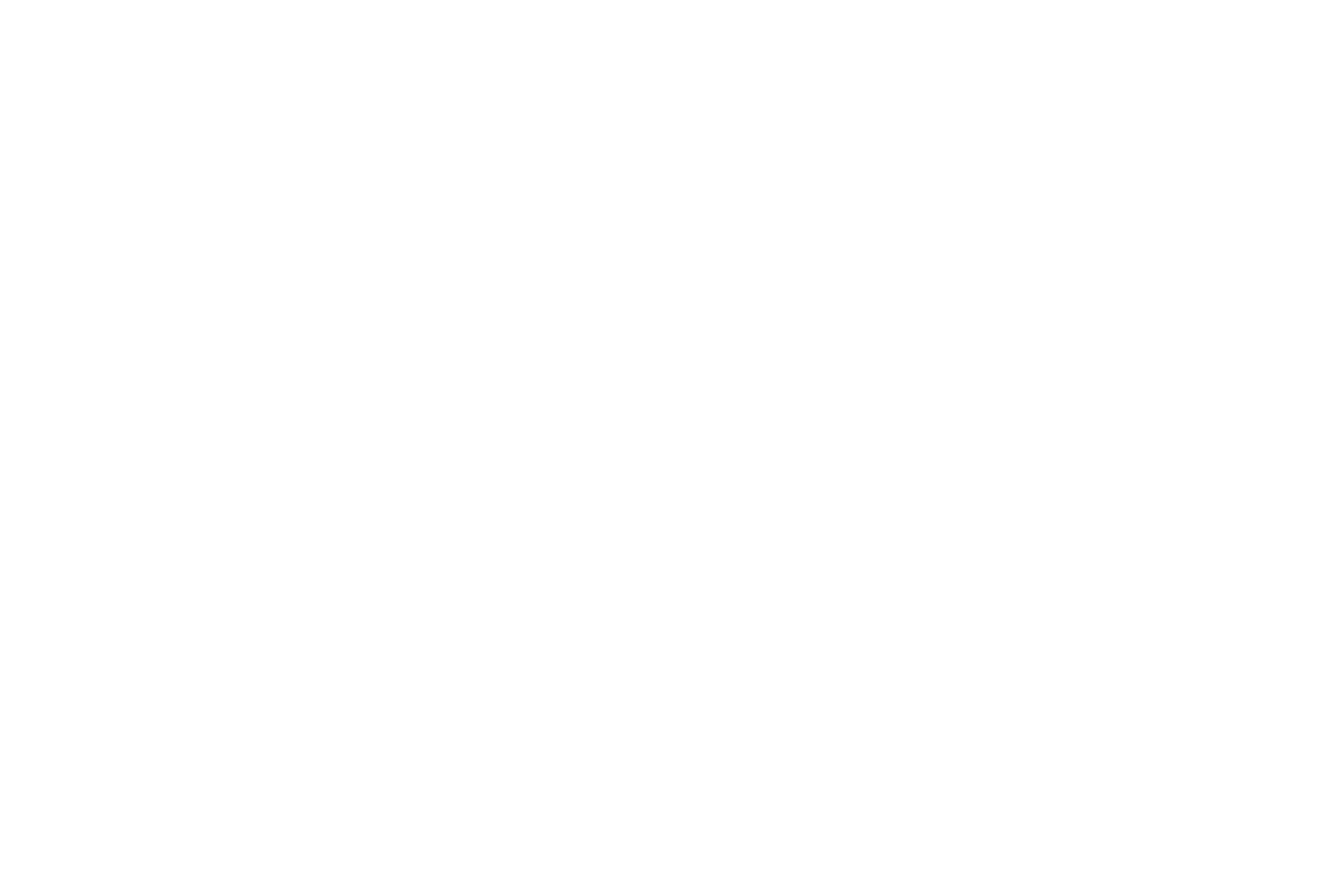 DECAL: HU$TLERS