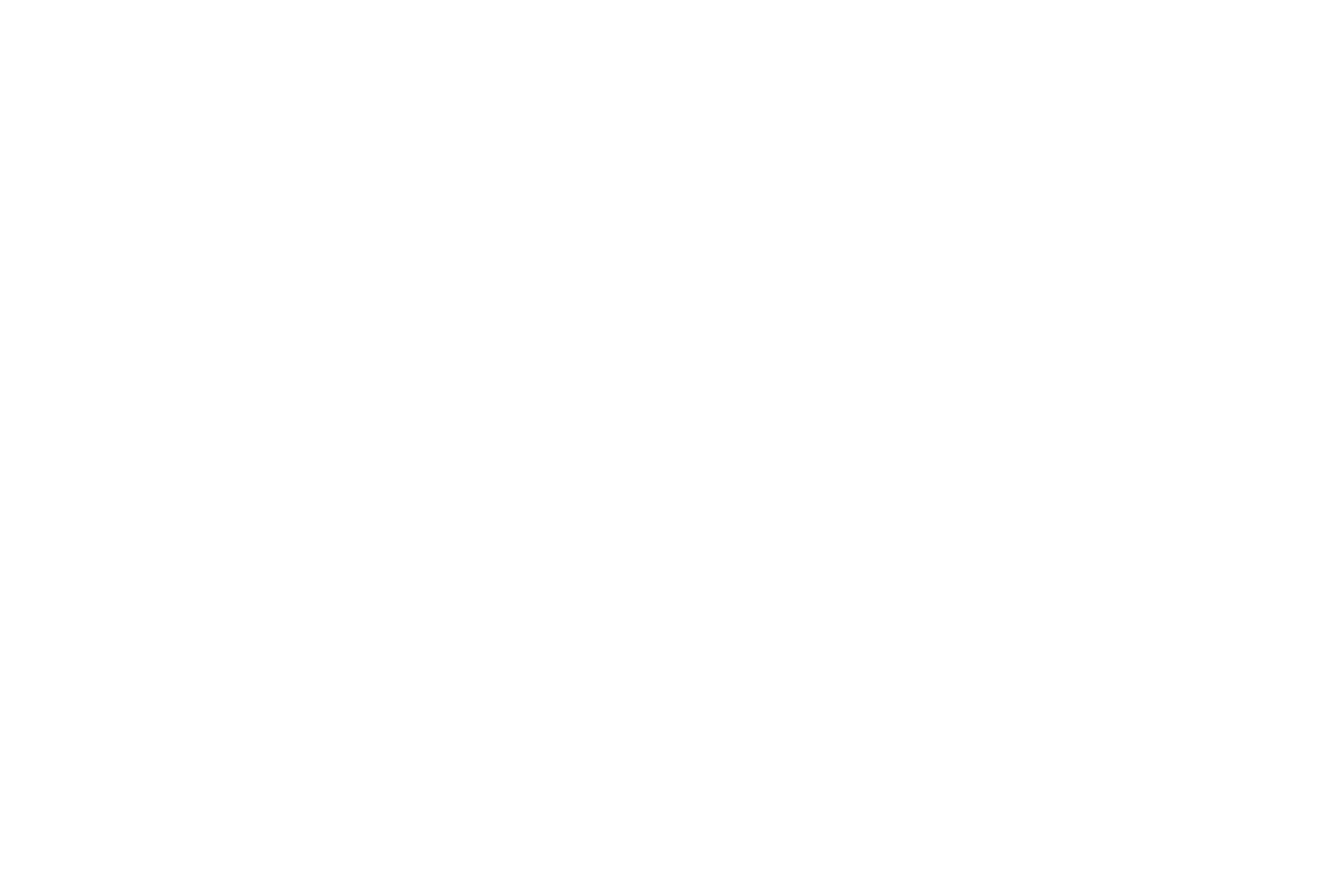 QUARTER WINDOW BANNER: HEXAGON