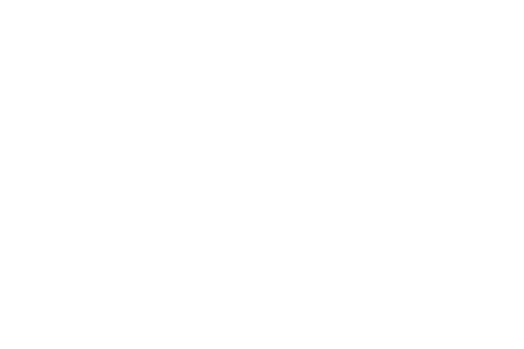 QUARTER WINDOW BANNER: HEXAGON SOILD