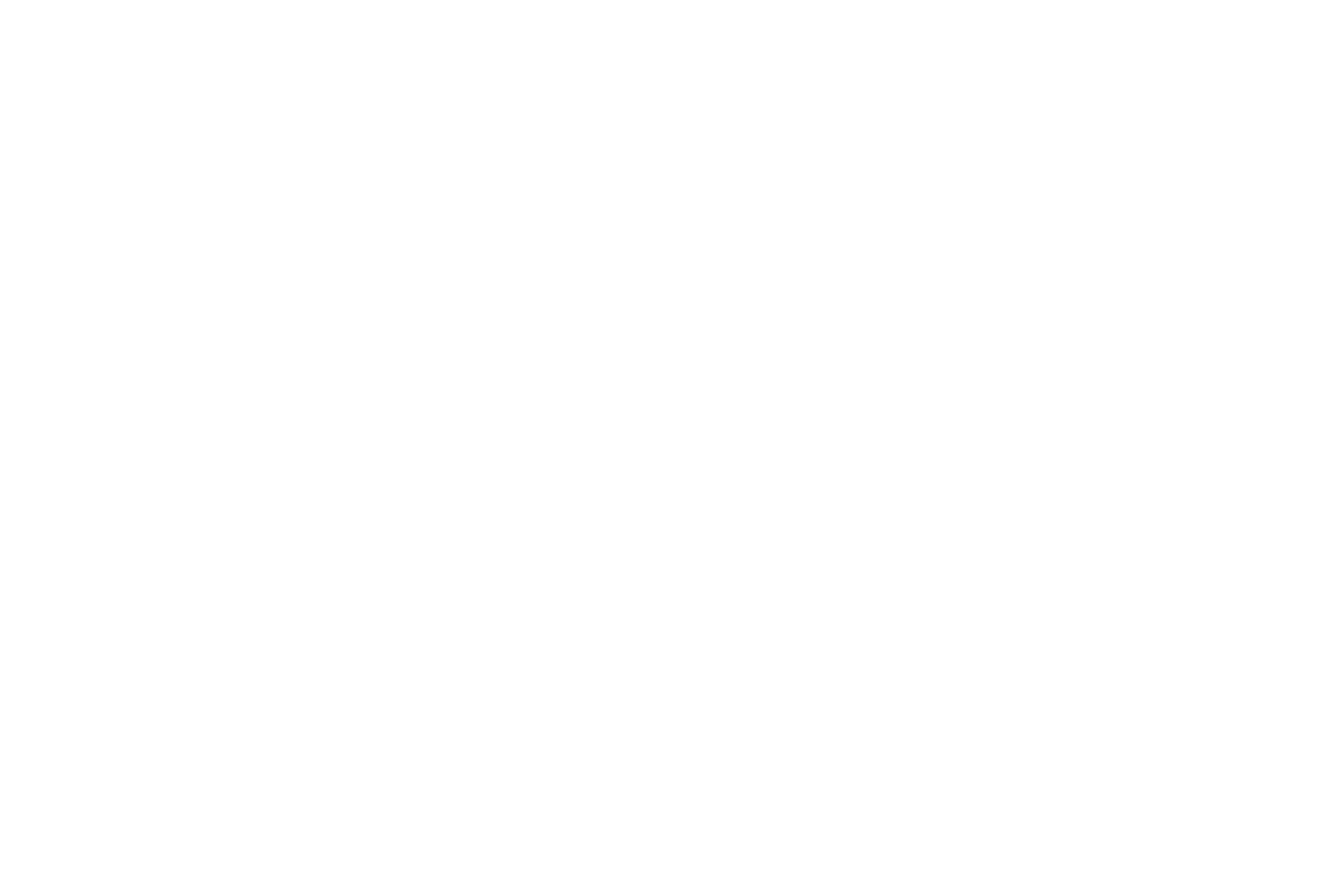 QUARTER WINDOW BANNER: LEOPARD PRINT