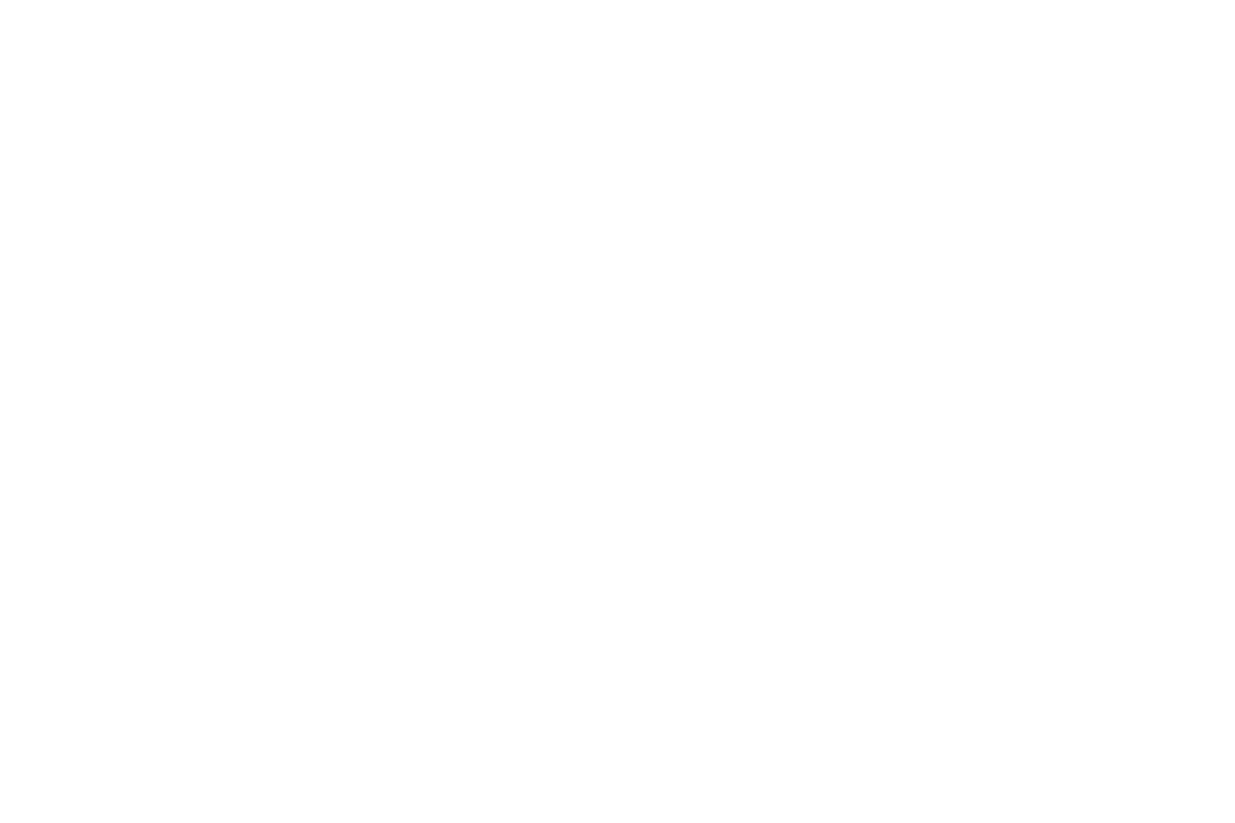 QUARTER WINDOW BANNER: ROSES