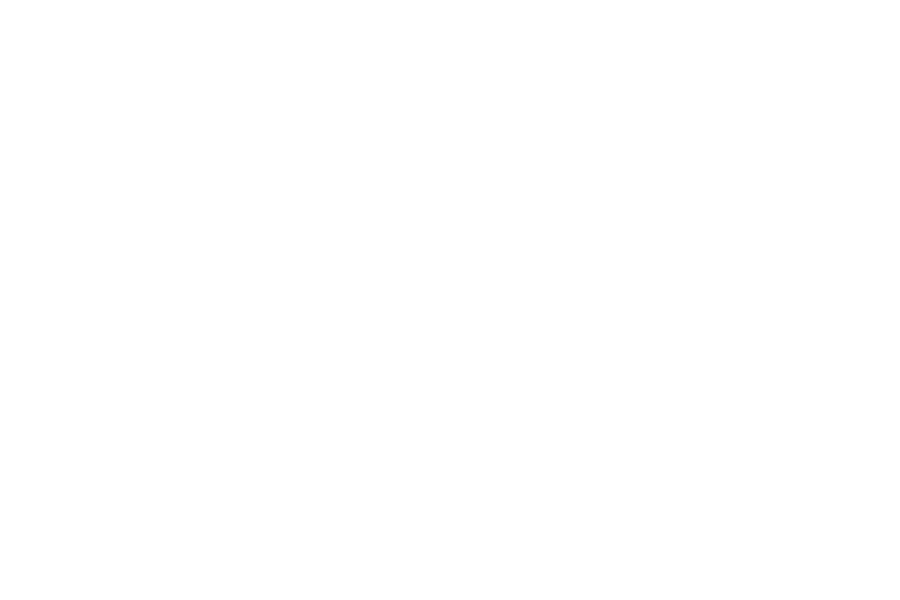 QUARTER WINDOW BANNER: SKULLS