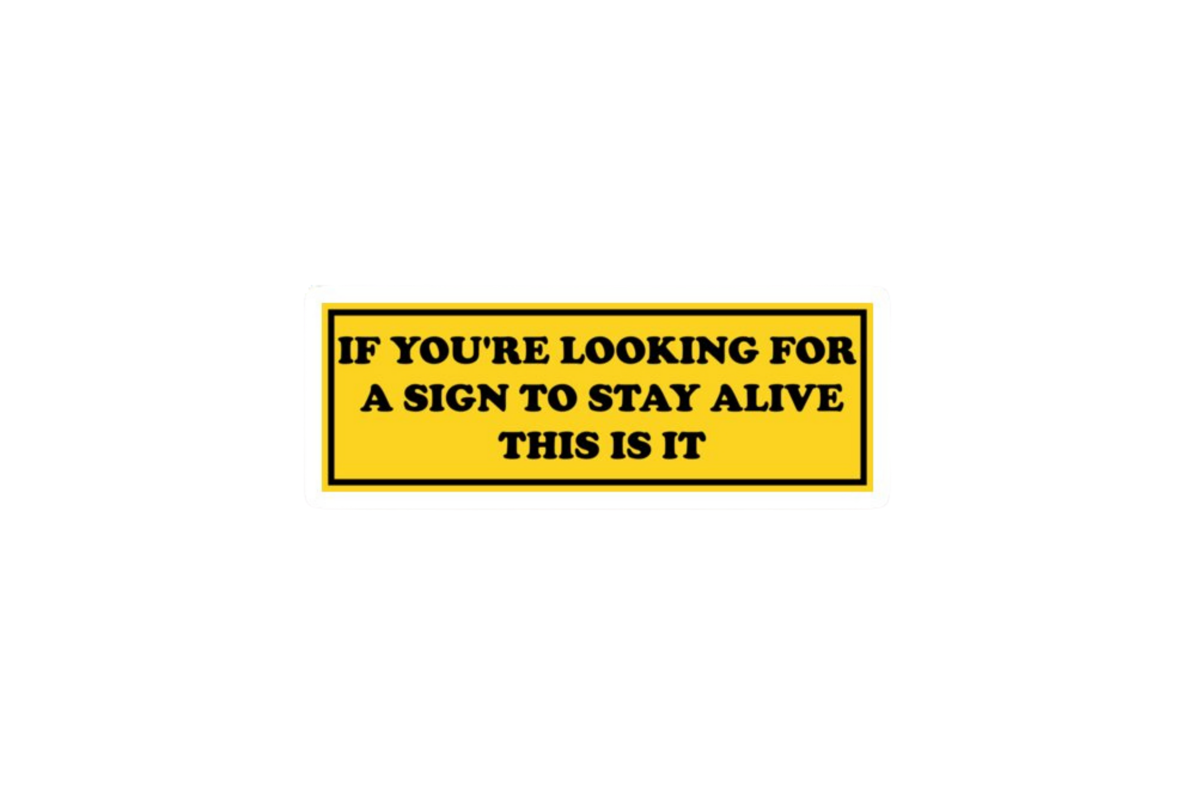 SLAP STICKER: IF YOU'RE LOOKING