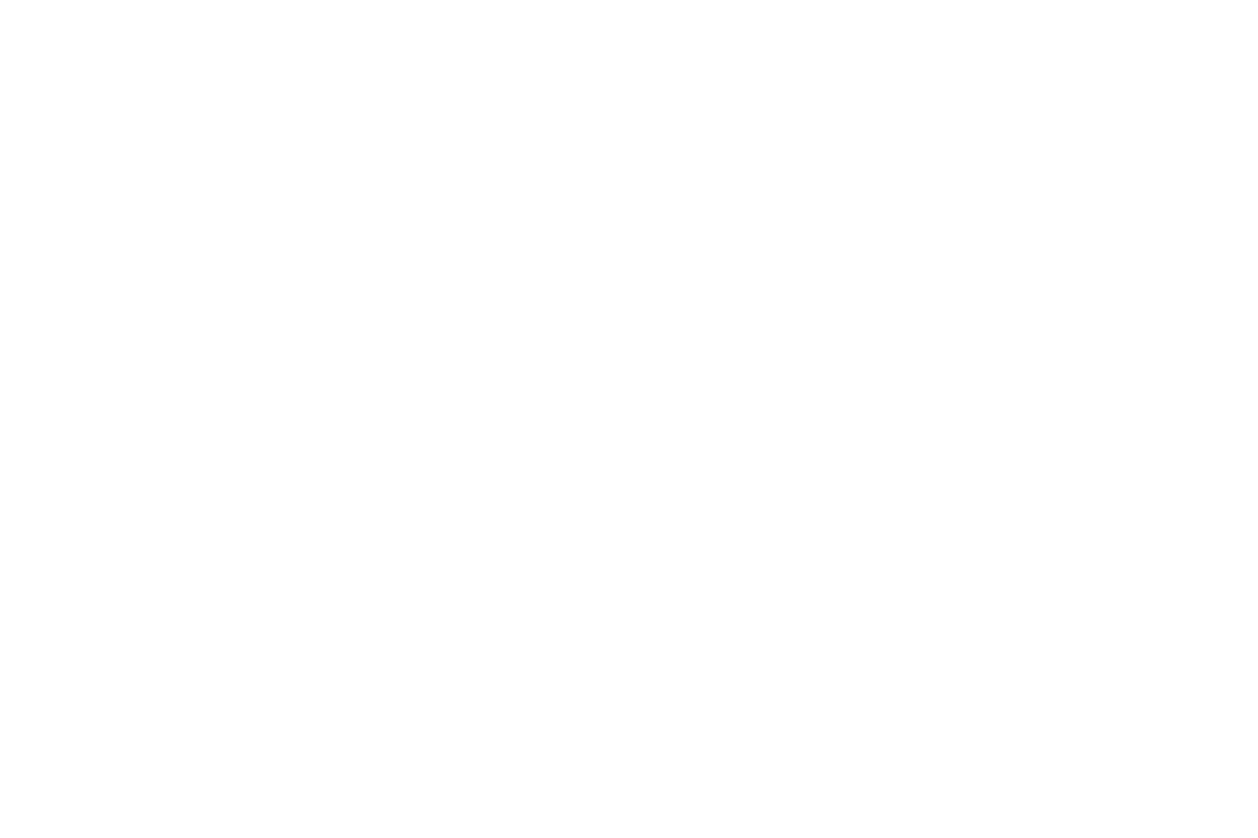 QUARTER WINDOW BANNER: SKULLS & BONES