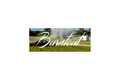 SLAP STICKER: BURNOUT