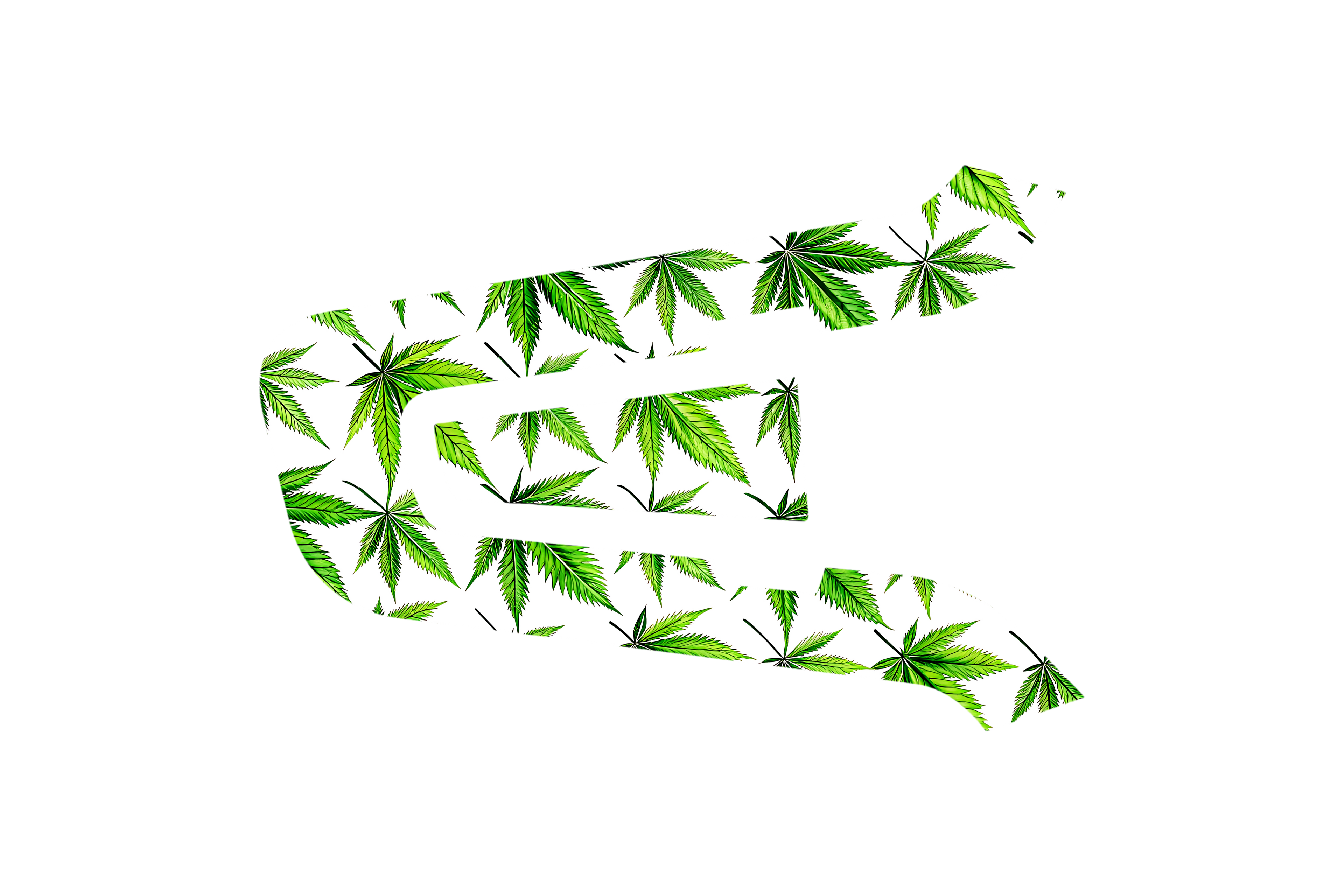 CARDO SKIN: BOTANICAL