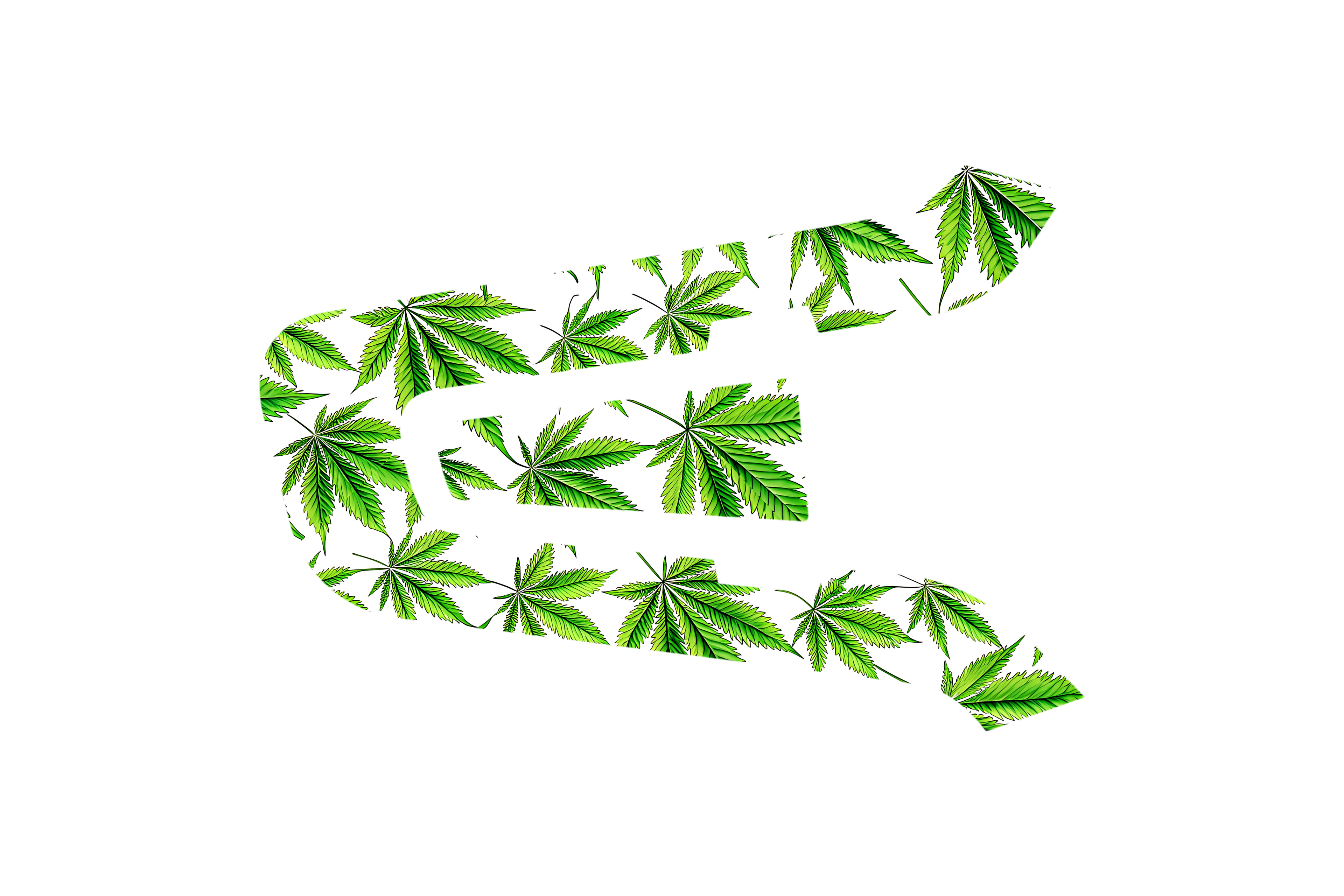 CARDO SKIN: HERB GARDEN