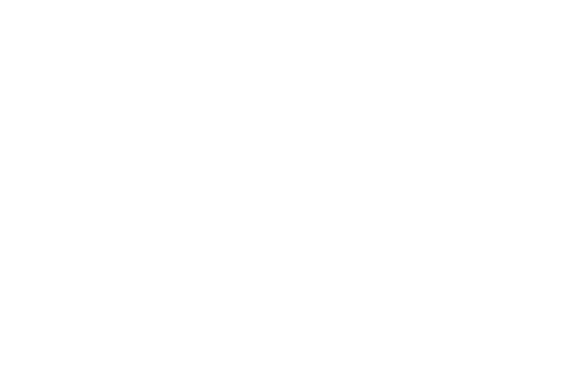 STICKER: MANIFEST