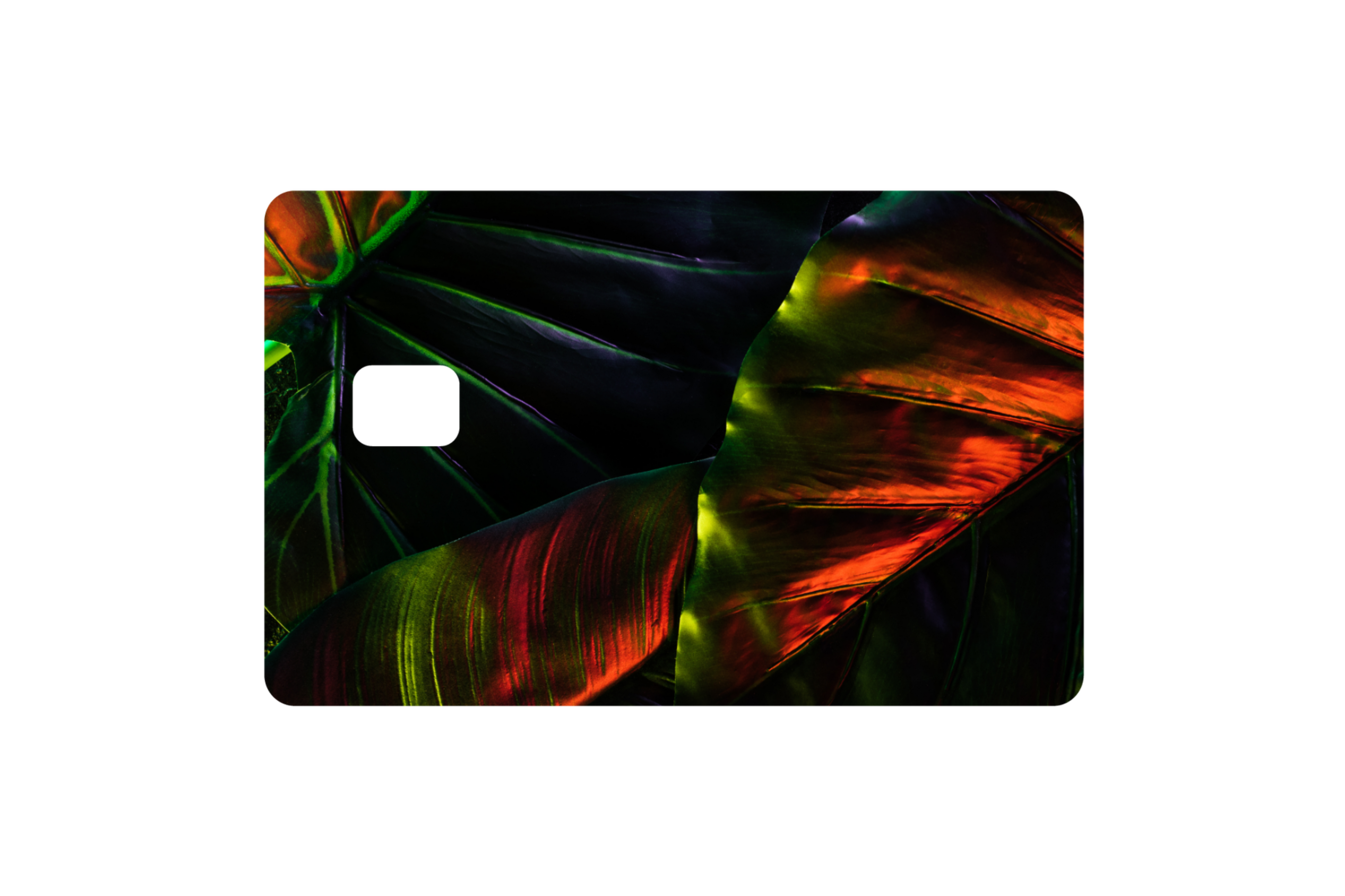 CARD WRAP: NIGHT GARDEN