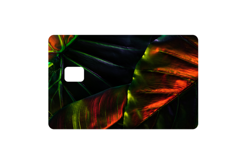CARD WRAP: NIGHT GARDEN - OzDecalz