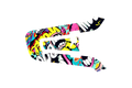 CARDO SKIN: GRAFFITI BOMB