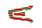 Packtalk  Skin: RED & GREEN WAVES