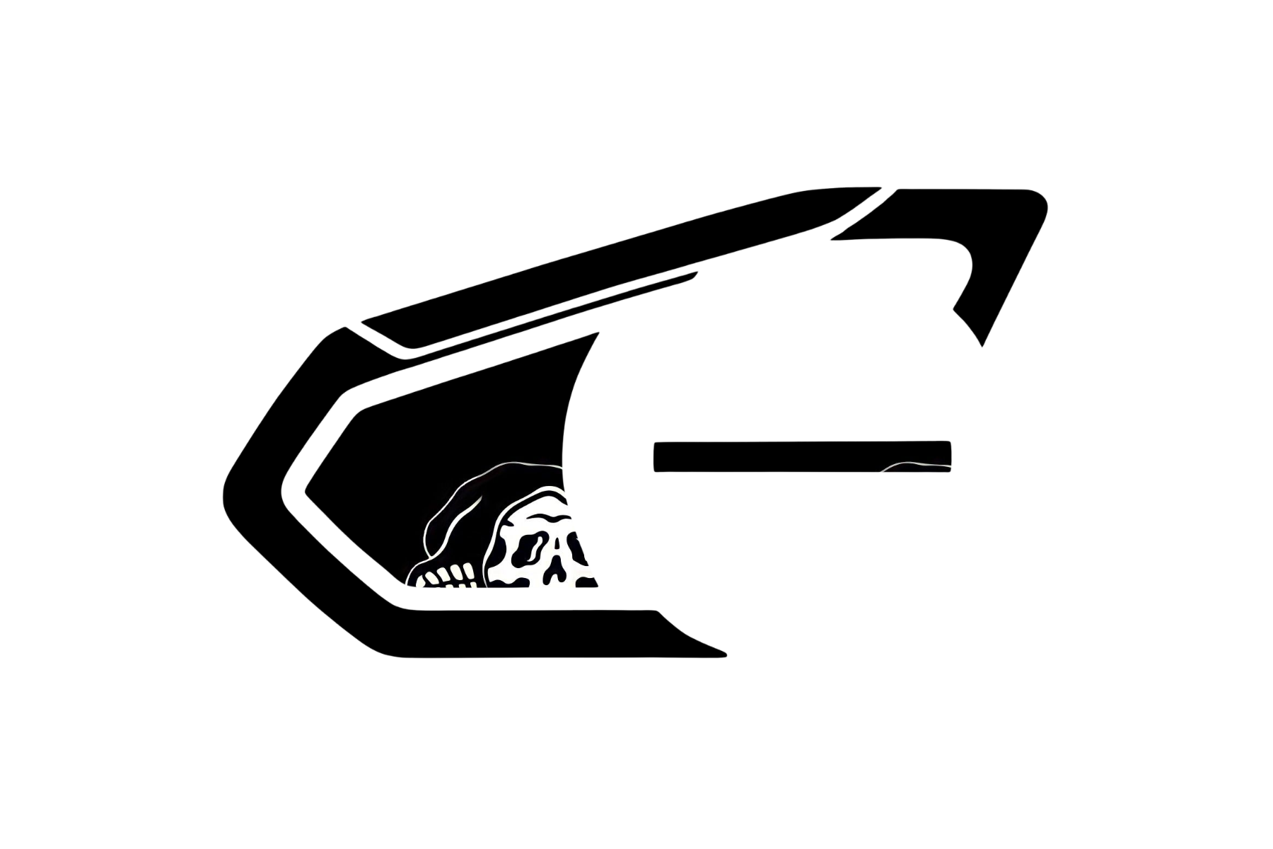 INTERCOM SKIN: SKULL