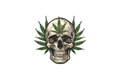 Die-Cut Sticker: W**D SKULL