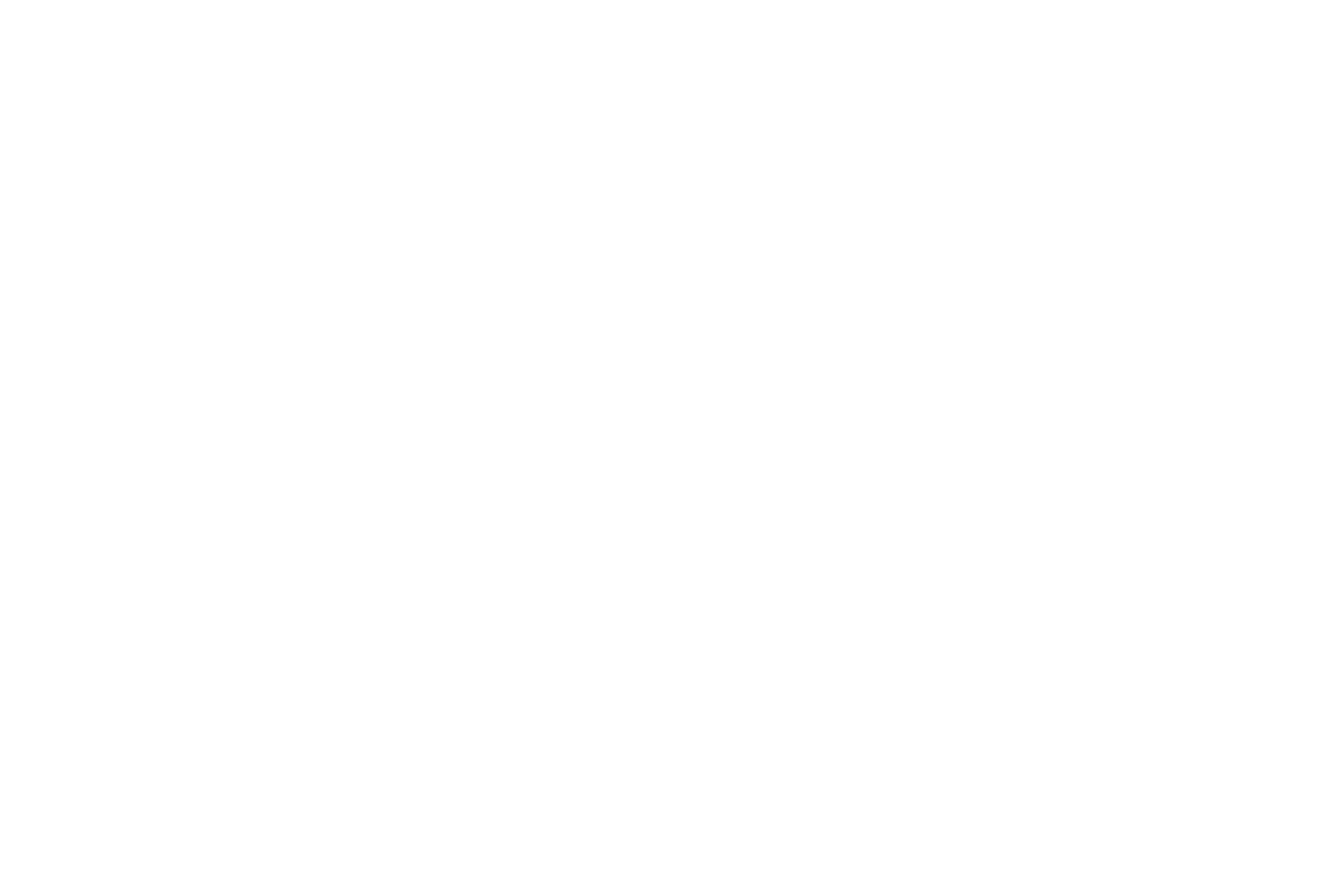 STICKER: ROAD RASH SURVIVOR