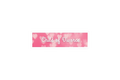 SLAP STICKER: CHILD OF DIVORCE