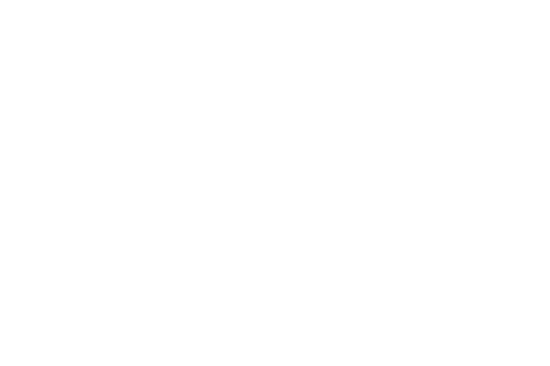 DECAL: RESPECT