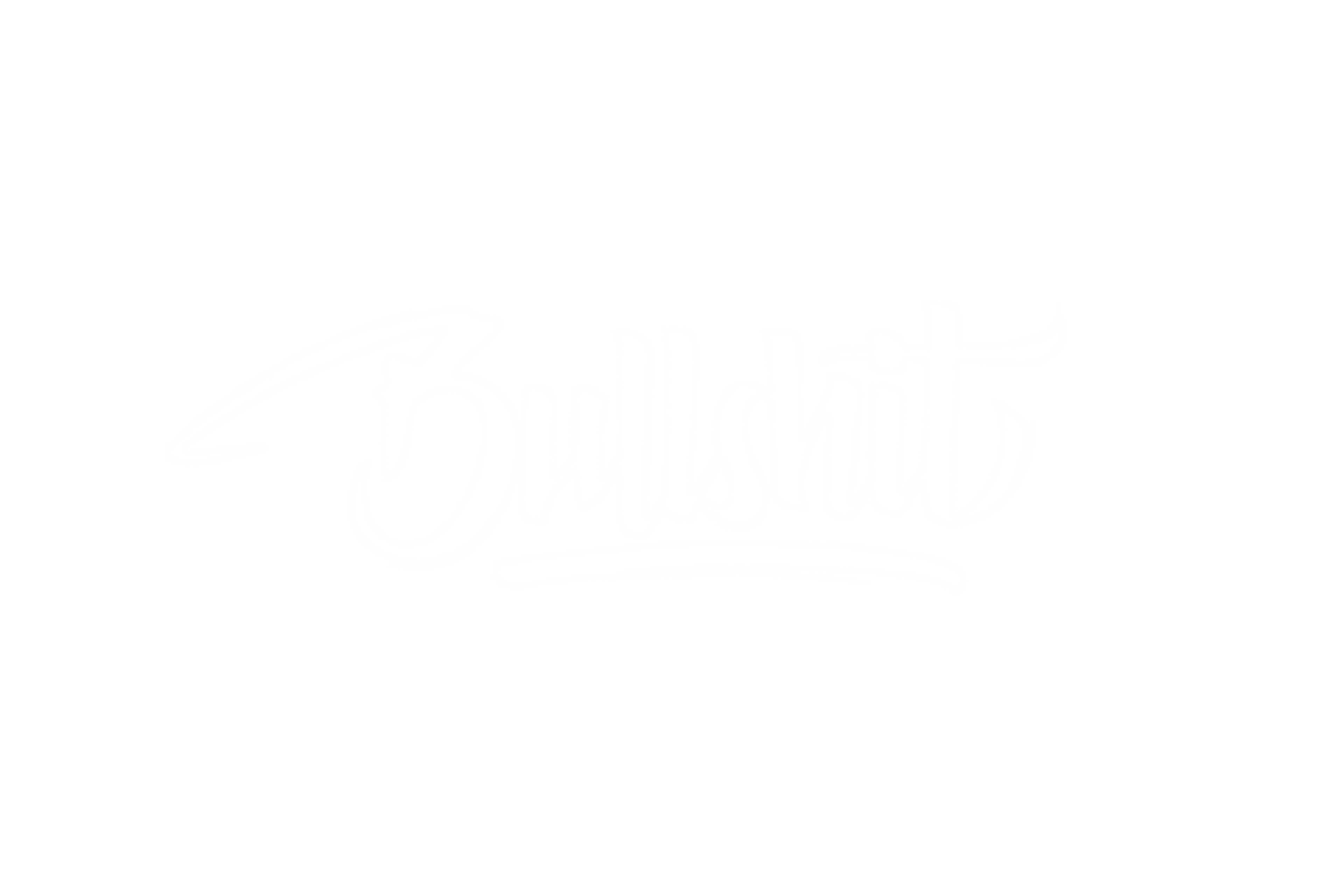 HELMET DECAL: BULLSH*T