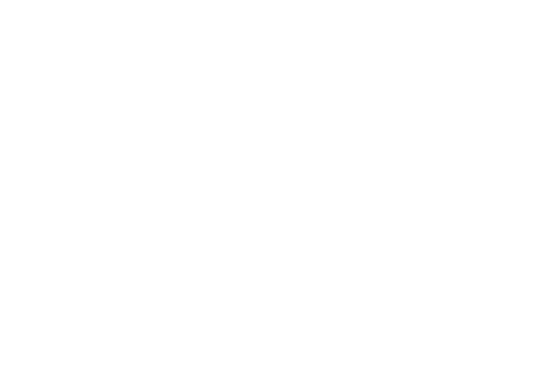 STICKER: BULLSH*T