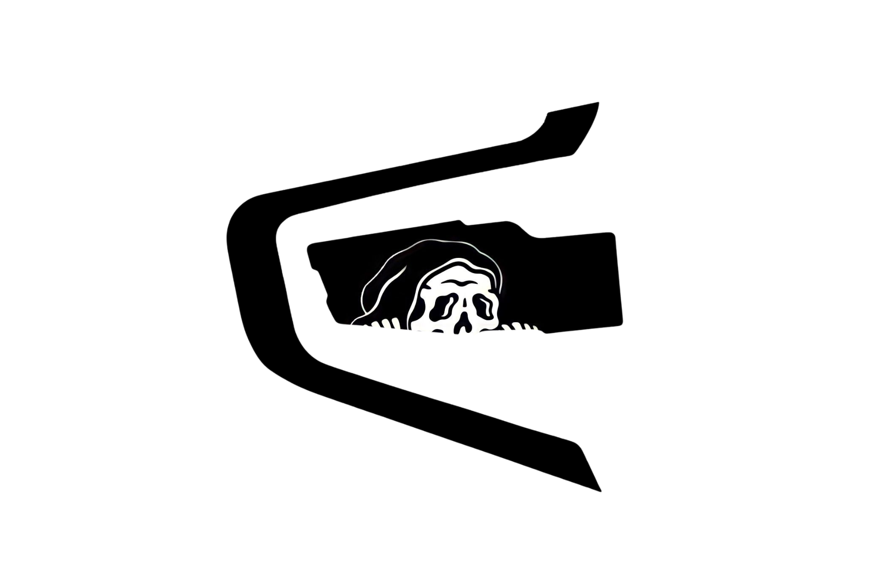 INTERCOM SKIN: SKULL PEEPER