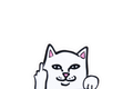 Peeper Sticker: CARTOON CAT