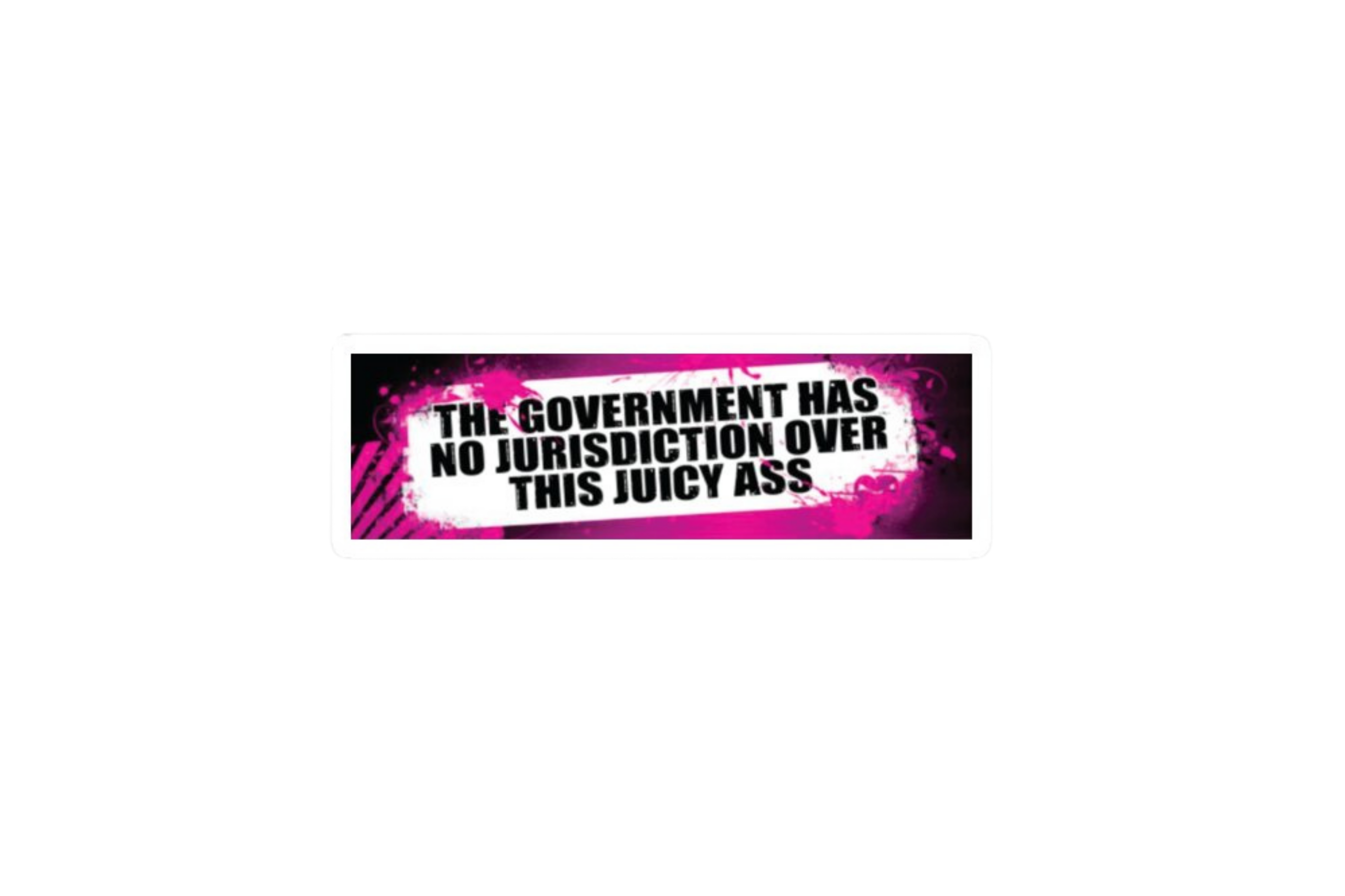 SLAP STICKER: THE GOVERNMENT