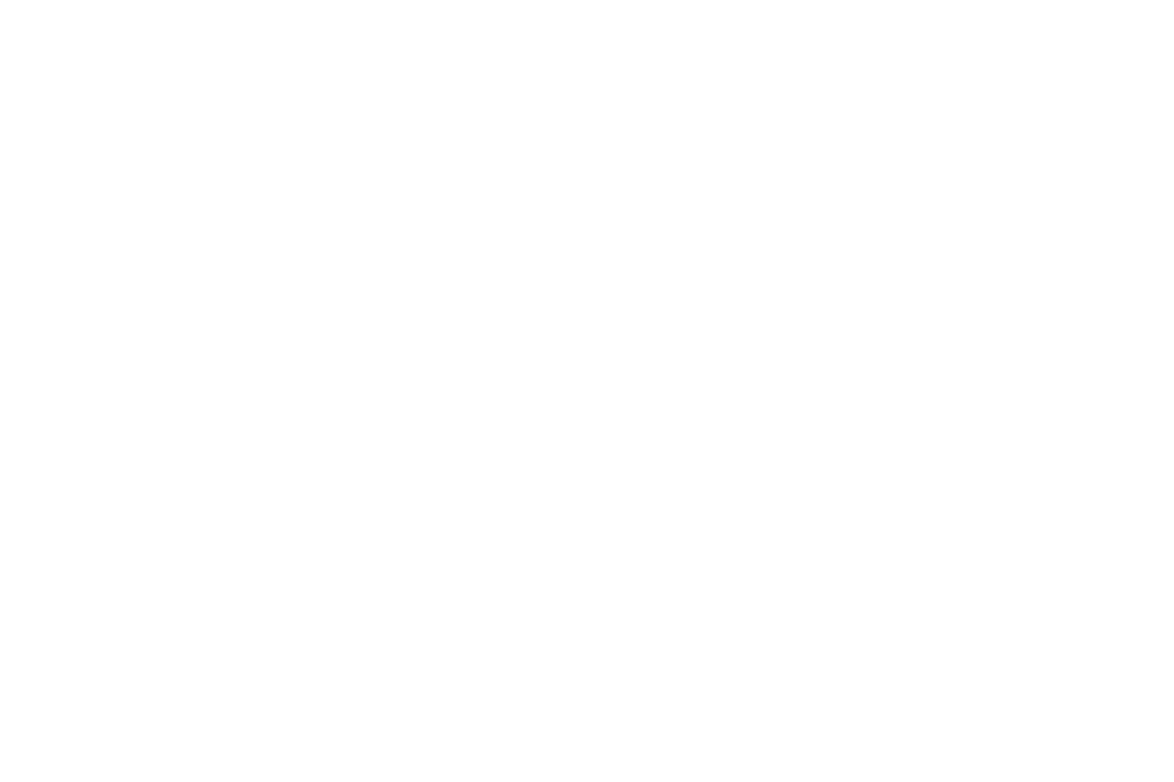HELMET DECAL: THE HATERS