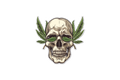 Die-Cut Sticker: W**D SKULL