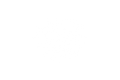 DECAL: SPIDERWEB